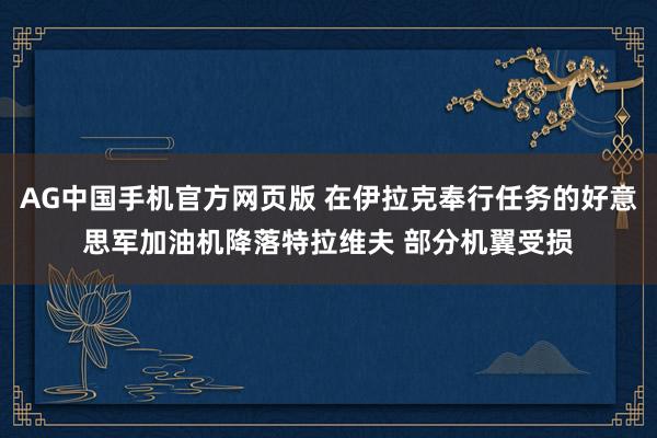 AG中国手机官方网页版 在伊拉克奉行任务的好意思军加油机降落特拉维夫 部分机翼受损