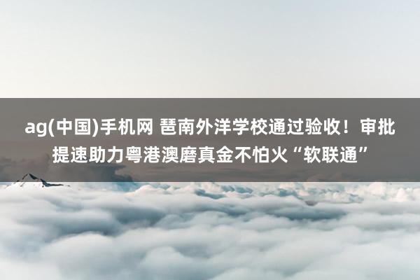 ag(中国)手机网 琶南外洋学校通过验收！审批提速助力粤港澳磨真金不怕火“软联通”