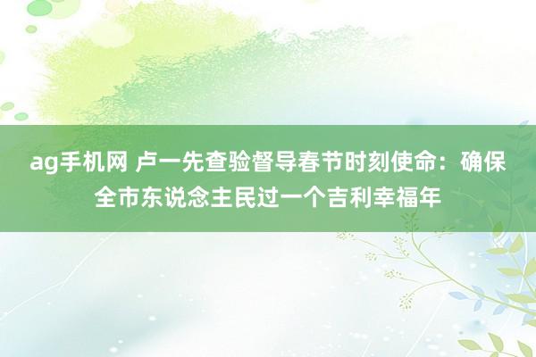 ag手机网 卢一先查验督导春节时刻使命：确保全市东说念主民过一个吉利幸福年