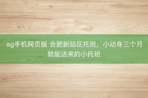 ag手机网页版 合肥新站区托班，小动身三个月就能送来的小托班