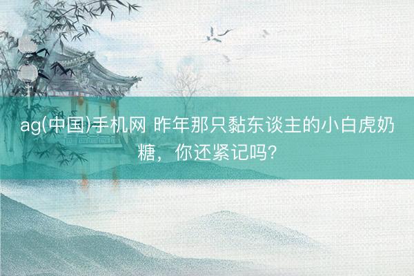 ag(中国)手机网 昨年那只黏东谈主的小白虎奶糖，你还紧记吗？