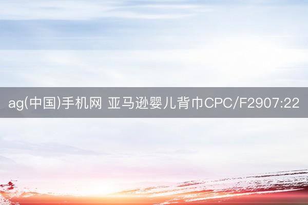 ag(中国)手机网 亚马逊婴儿背巾CPC/F2907:22