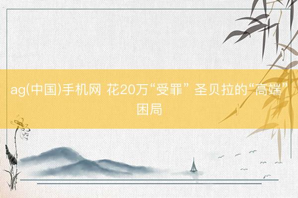 ag(中国)手机网 花20万“受罪” 圣贝拉的“高端”困局
