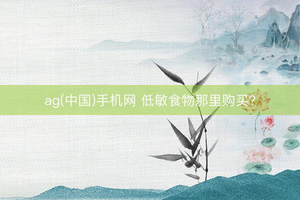 ag(中国)手机网 低敏食物那里购买？