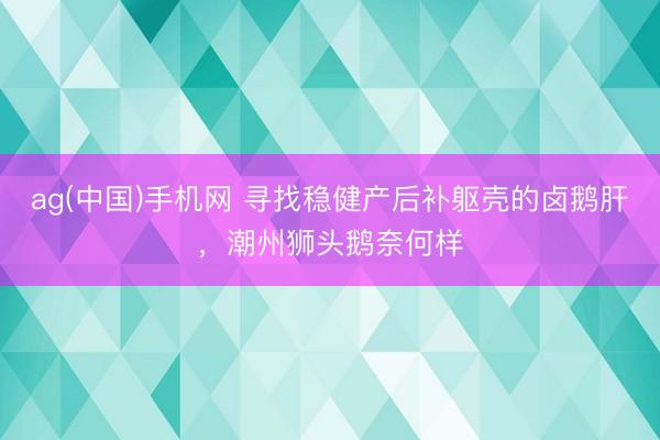 ag(中国)手机网 寻找稳健产后补躯壳的卤鹅肝，潮州狮头鹅奈何样