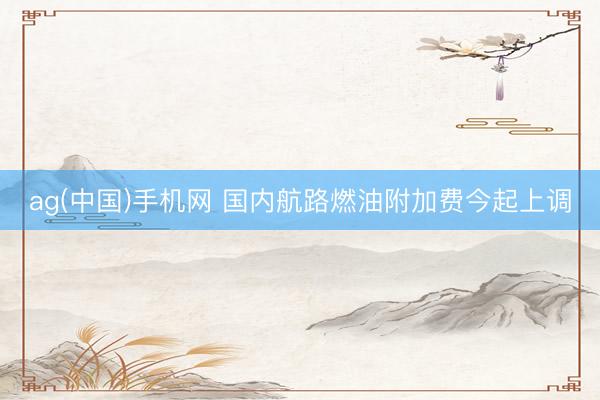 ag(中国)手机网 国内航路燃油附加费今起上调