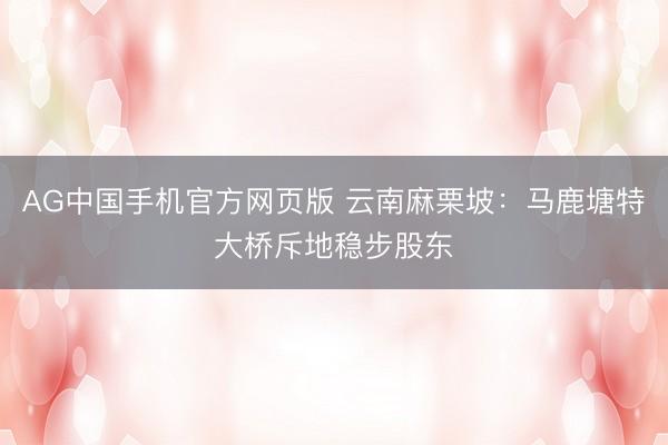 AG中国手机官方网页版 云南麻栗坡：马鹿塘特大桥斥地稳步股东