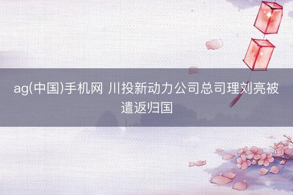 ag(中国)手机网 川投新动力公司总司理刘亮被遣返归国