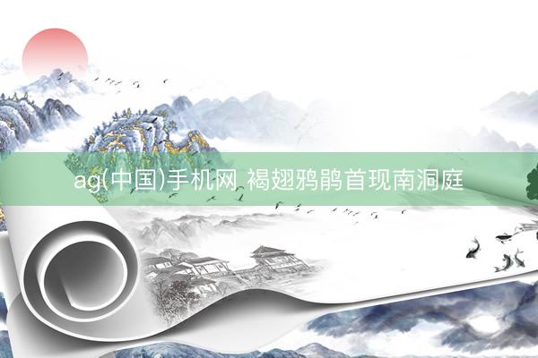 ag(中国)手机网 褐翅鸦鹃首现南洞庭