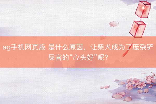 ag手机网页版 是什么原因,让柴犬成为了庞杂铲屎官的“心头好”呢?