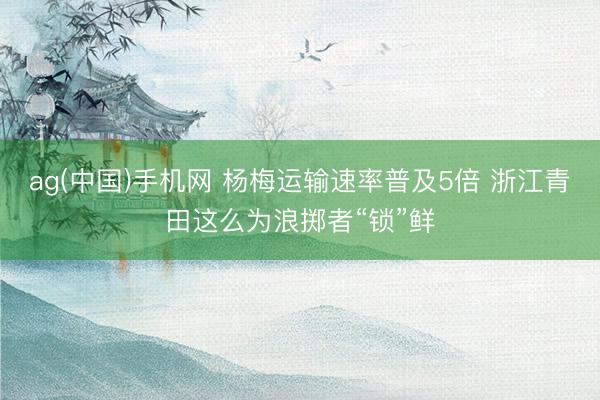 ag(中国)手机网 杨梅运输速率普及5倍 浙江青田这么为浪掷者“锁”鲜