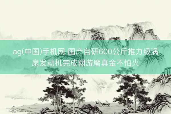 ag(中国)手机网 国产自研600公斤推力级涡扇发动机完成翱游磨真金不怕火