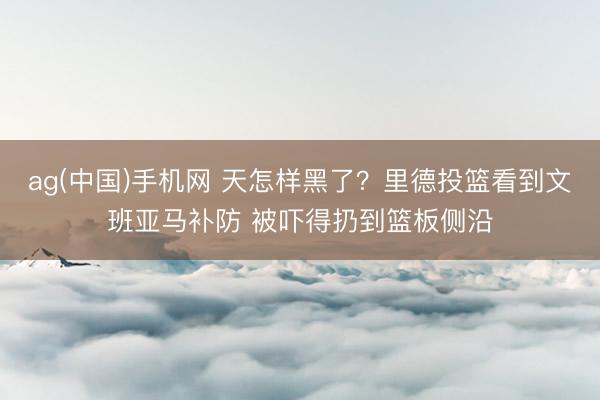 ag(中国)手机网 天怎样黑了？里德投篮看到文班亚马补防 被吓得扔到篮板侧沿