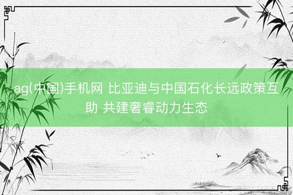 ag(中国)手机网 比亚迪与中国石化长远政策互助 共建奢睿动力生态