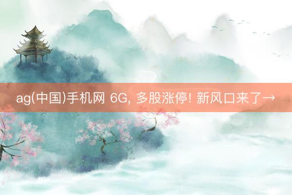 ag(中国)手机网 6G， 多股涨停! 新风口来了→