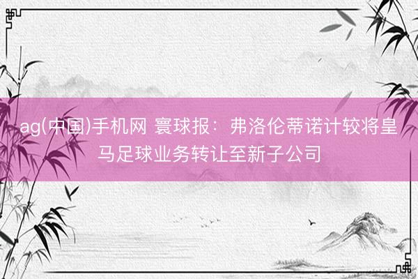 ag(中国)手机网 寰球报:弗洛伦蒂诺计较将皇马足球业务转让至新子公司