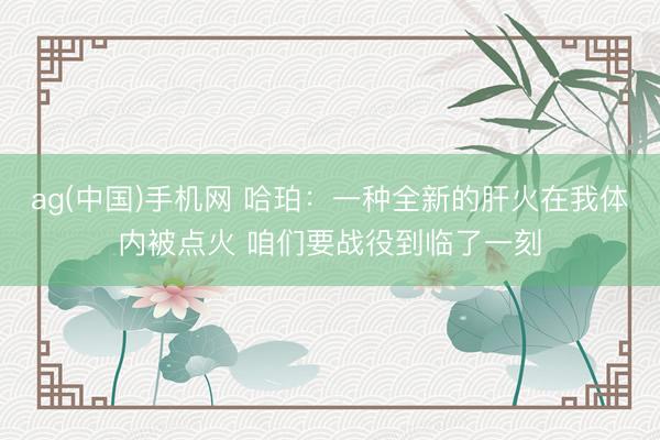 ag(中国)手机网 哈珀：一种全新的肝火在我体内被点火 咱们要战役到临了一刻