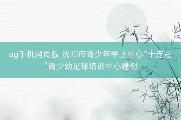 ag手机网页版 沈阳市青少年举止中心“十连冠”青少幼足球培训中心建树