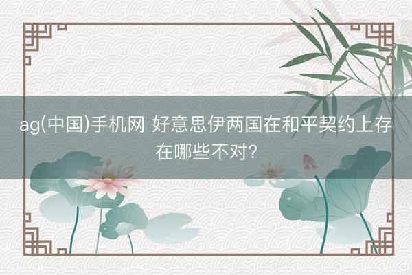 ag(中国)手机网 好意思伊两国在和平契约上存在哪些不对?