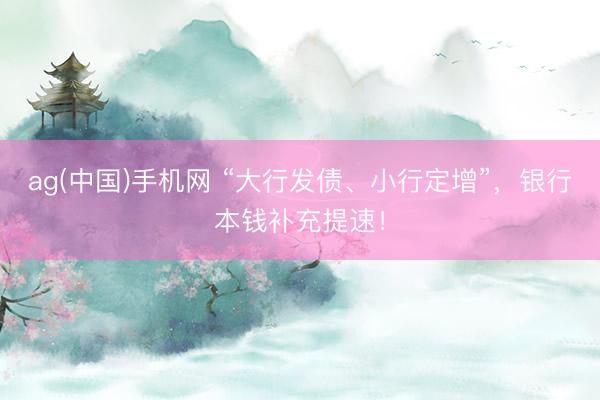 ag(中国)手机网 “大行发债、小行定增”,银行本钱补充提速!